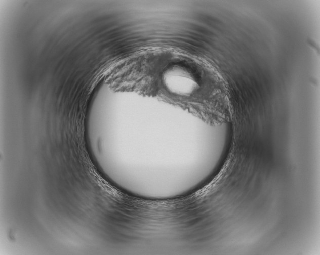 X0000094791025200712071223