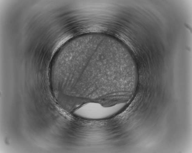 X0000094791026200712071223