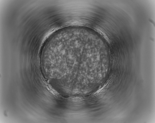 X0000094791027200712071223