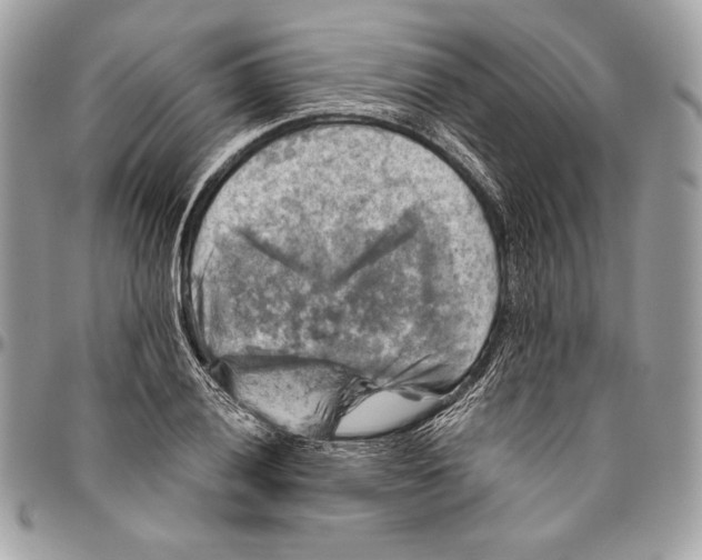 X0000094791028200712071223