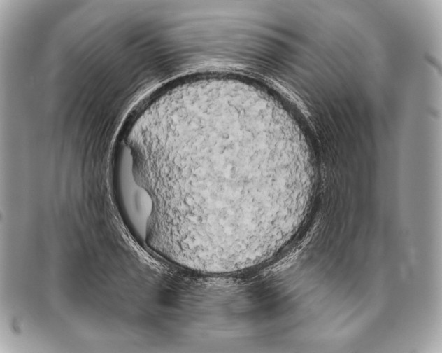 X0000094791029200712071223