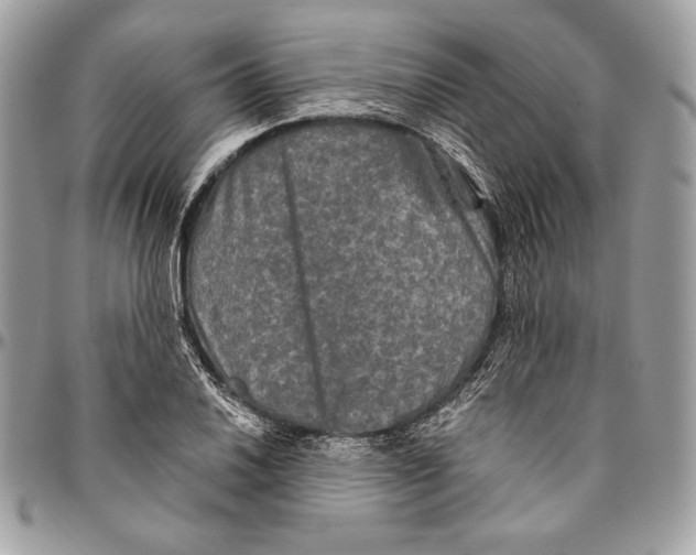 X0000094791030200712071223