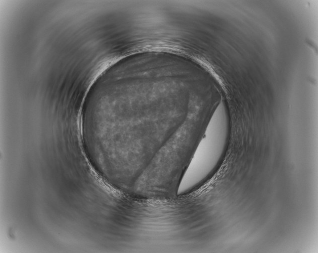 X0000094791032200712071223