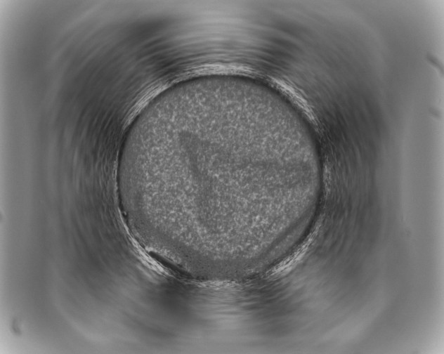 X0000094791033200712071223