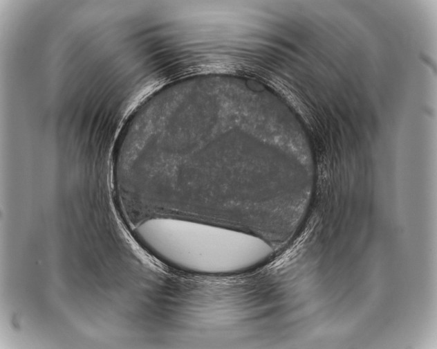 X0000094791034200712071223