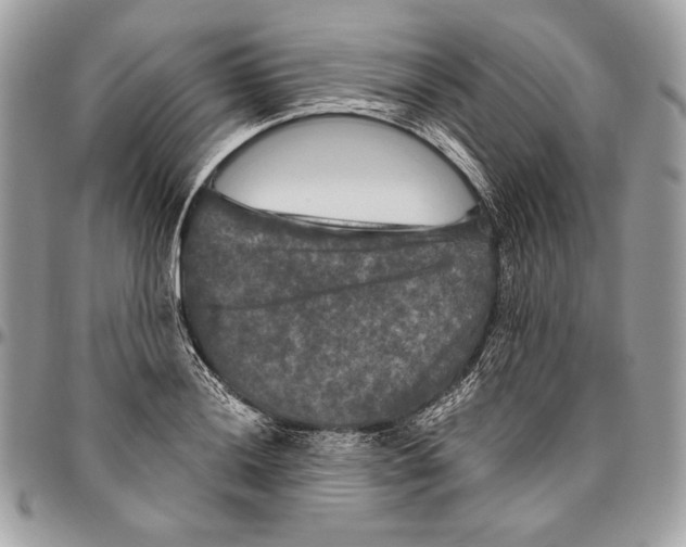 X0000094791036200712071223