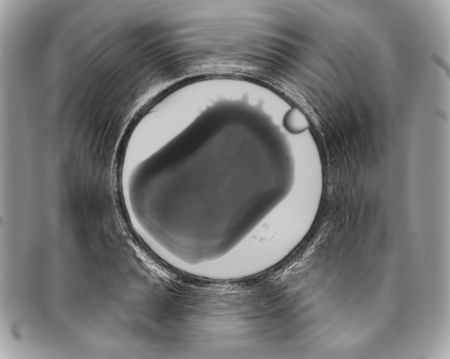 X0000094791037200712071223