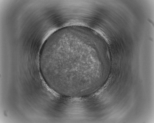 X0000094791038200712071223