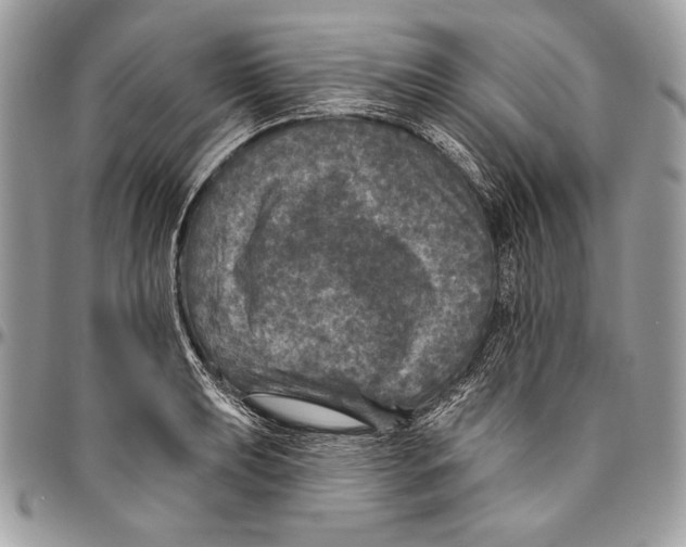 X0000094791039200712071223