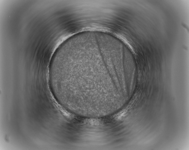 X0000094791040200712071223