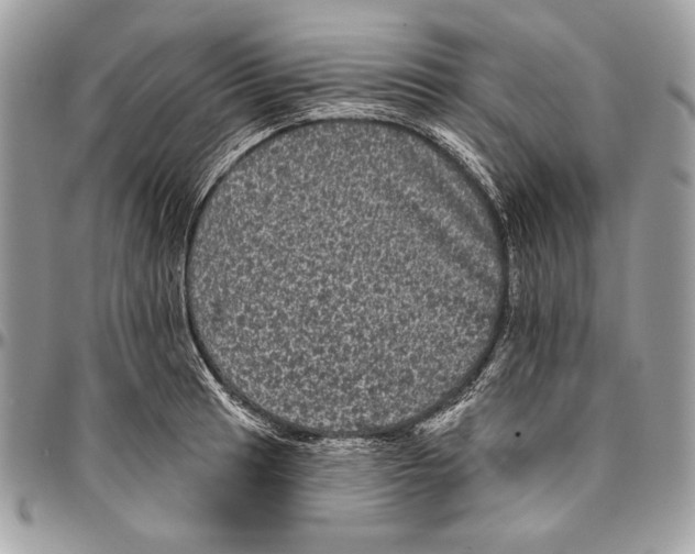 X0000094791041200712071223