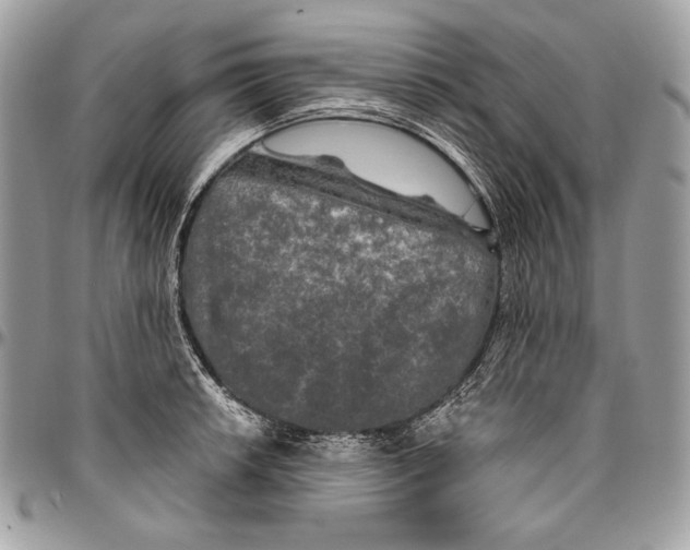 X0000094791042200712071224