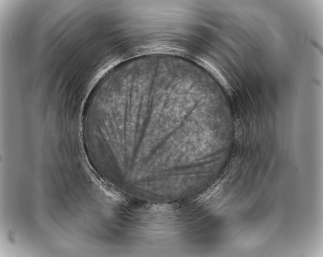 X0000094791043200712071224