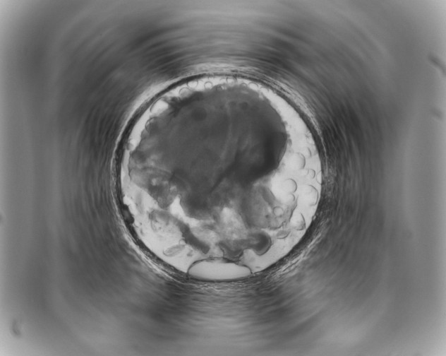 X0000094791045200712071224