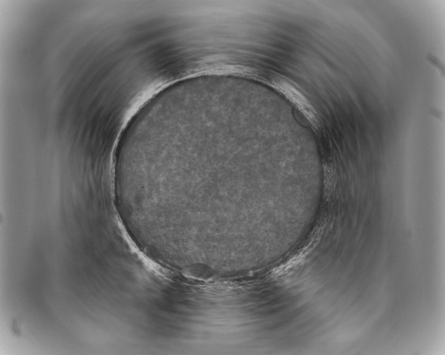 X0000094791046200712071224