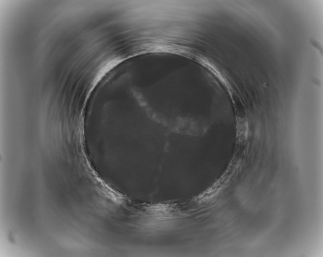 X0000094791048200712071224