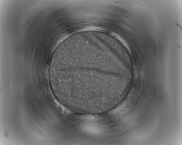 X0000094791049200712071224