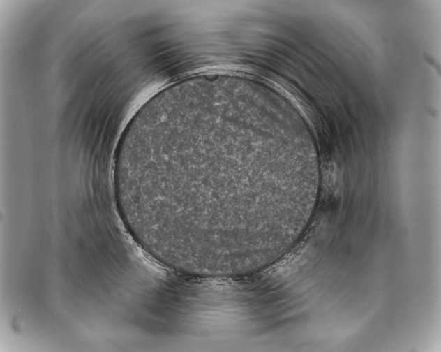 X0000094791050200712071224