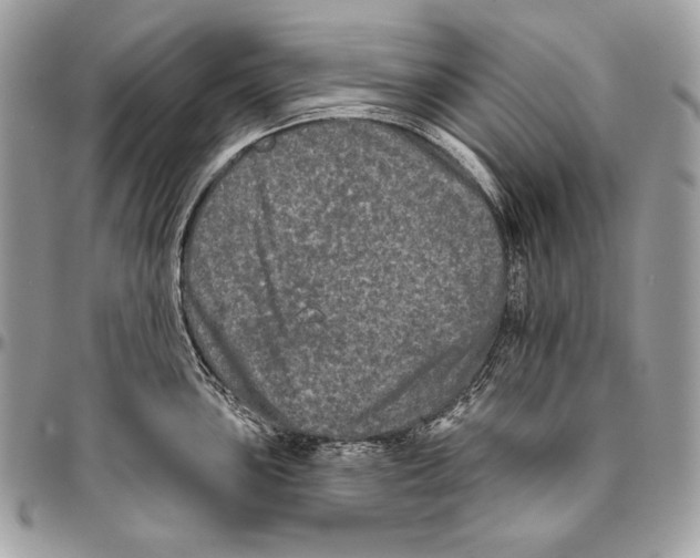 X0000094791051200712071224