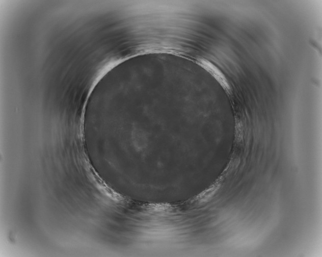 X0000094791052200712071224