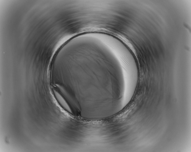 X0000094791053200712071224