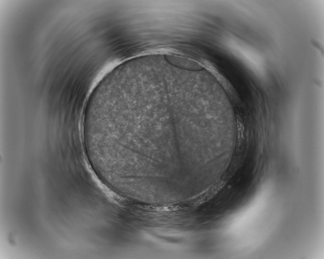 X0000094791054200712071224