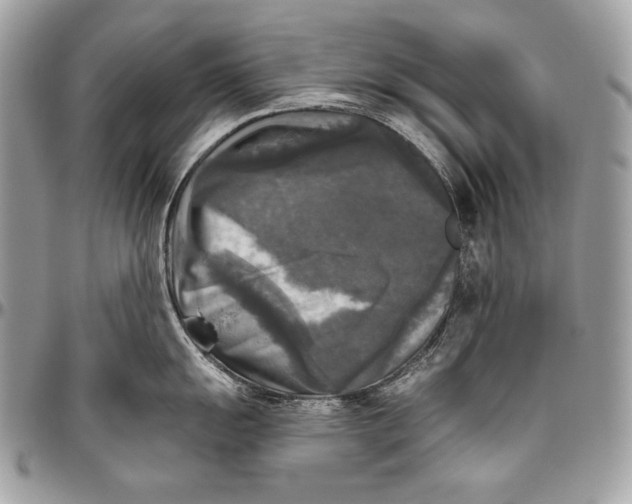 X0000094791055200712071224