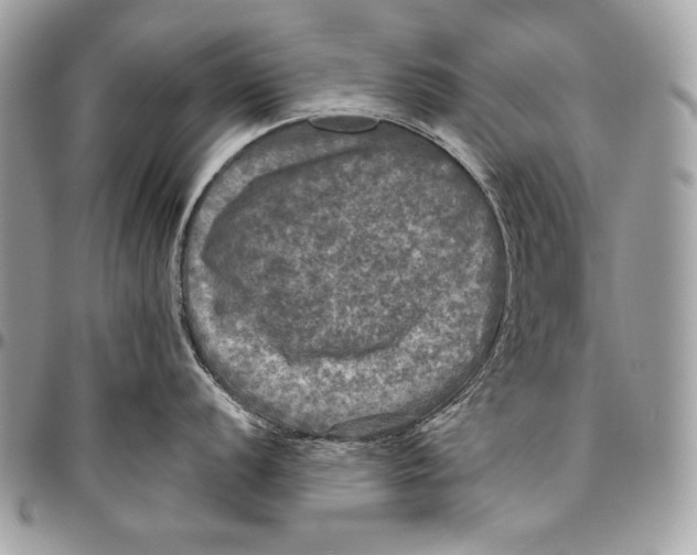 X0000094791056200712071224