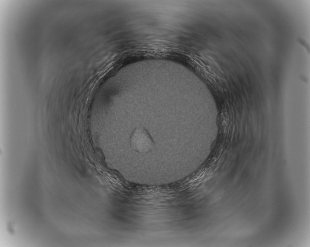 X0000094791057200712071223