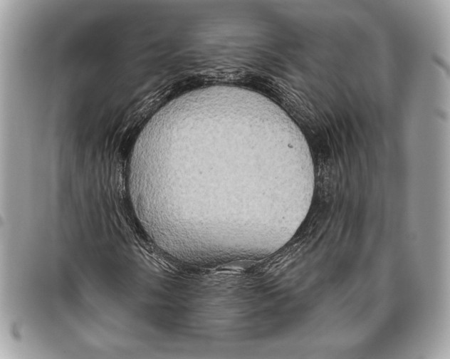 X0000094791058200712071223