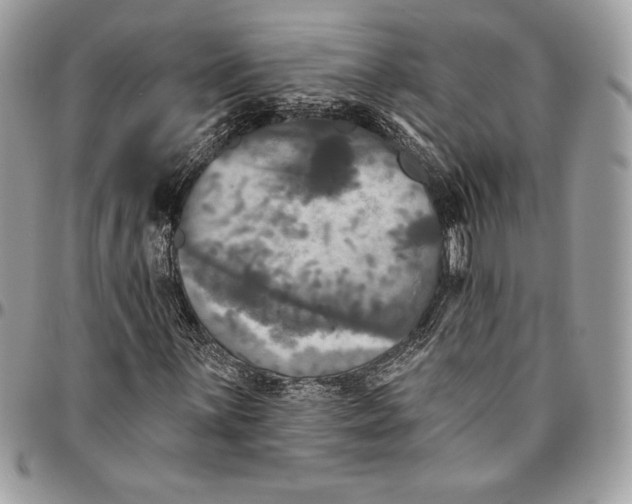 X0000094791059200712071223