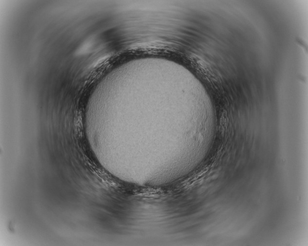 X0000094791062200712071223