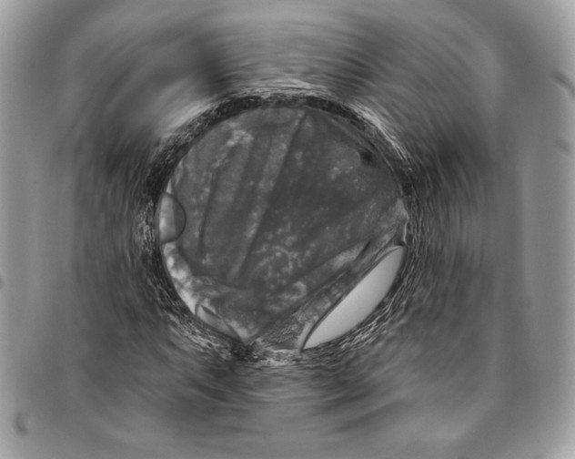 X0000094791063200712071223