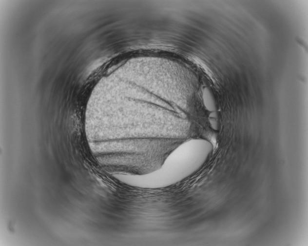 X0000094791064200712071223