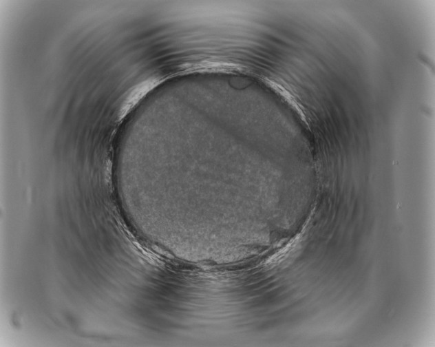 X0000094791066200712071223