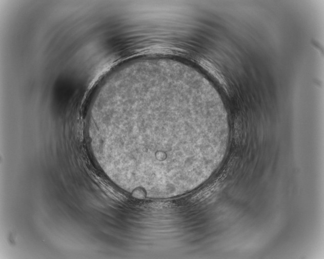 X0000094791067200712071223