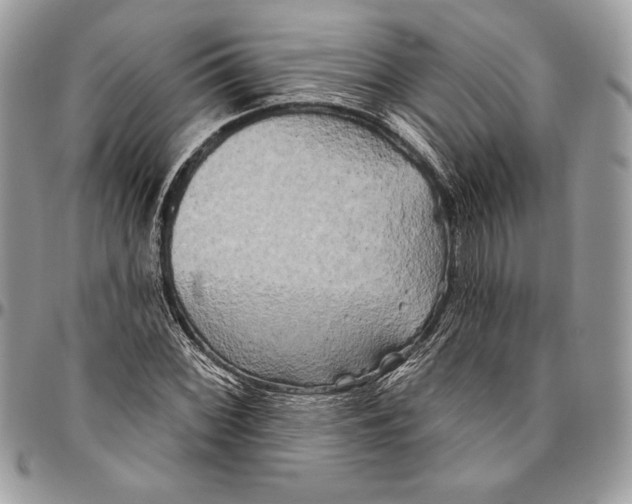 X0000094791068200712071223