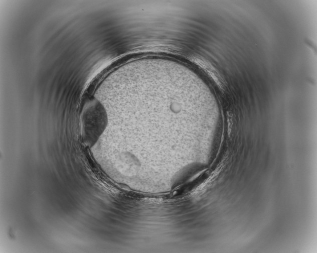 X0000094791069200712071223