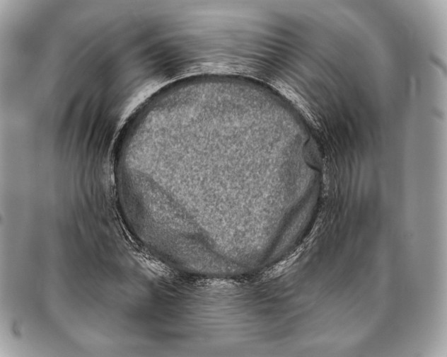 X0000094791070200712071223