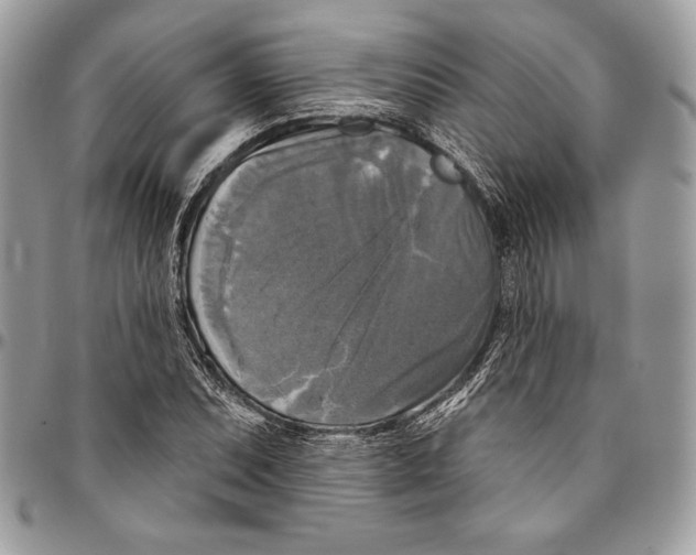 X0000094791071200712071223