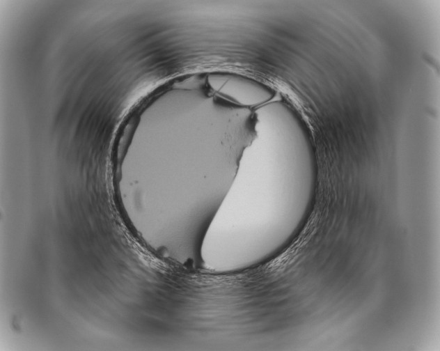 X0000094791072200712071223