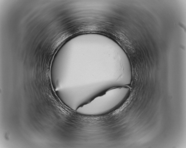 X0000094791073200712071223