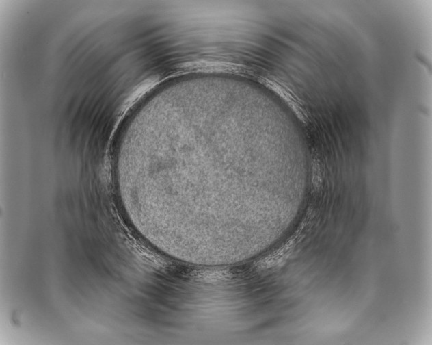 X0000094791074200712071223