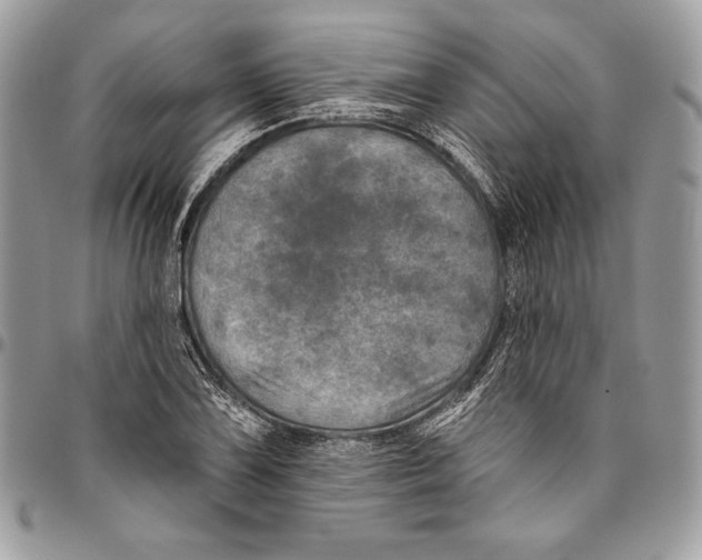 X0000094791075200712071223