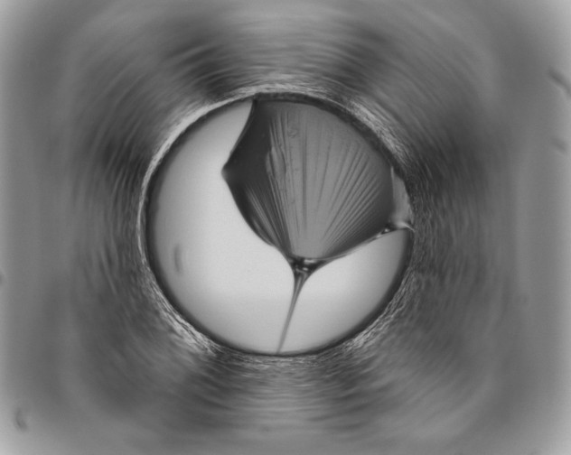 X0000094791076200712071223