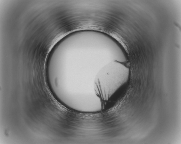 X0000094791077200712071223