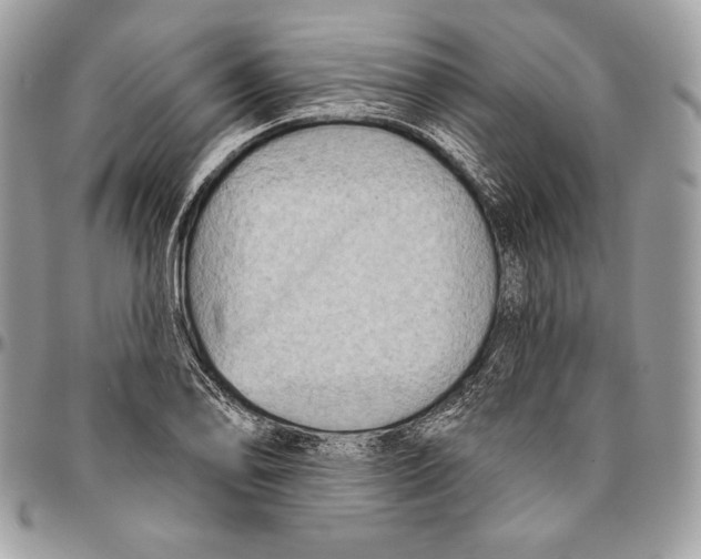 X0000094791078200712071223