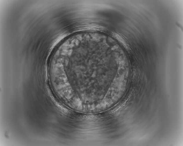 X0000094791079200712071223