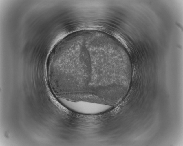 X0000094791080200712071223