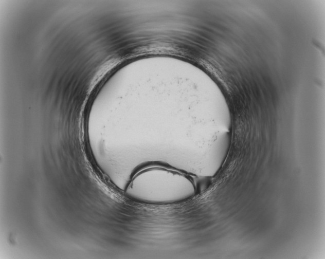 X0000094791082200712071223